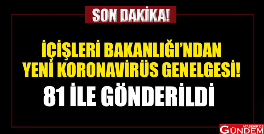 YILBAŞI İÇİN YENİ YASAK! 20201214_icisleri-bakanligi-ndan-yeni-koronavirus-genelgesi-81-ile-gonderildi-sokaga-cikma-kisitlamasi_m