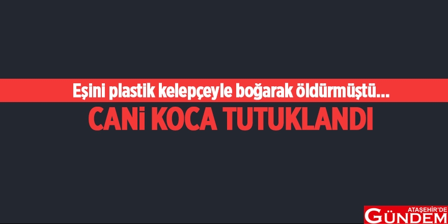 BİR KADIN CİNAYETİ DAHA! YER ATAŞEHİR 43982