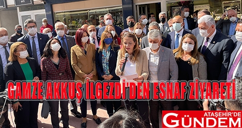 CHP’Lİ 40 MİLLETVEKİLİ AK PARTİ’NİN KALELERİNDE ÇIKARTMA YAPTI 545686