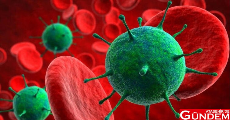 KORONAVİRÜS ENDİŞEYİ ARTIYOR 752x395-corona-virusu-belirtileri-nelerdir-nasil-bulasir-corona-koronavirus-virusu-nasil-bulasir-korunmanin-yollari-nelerdir-iste-yaniti-1583871935010