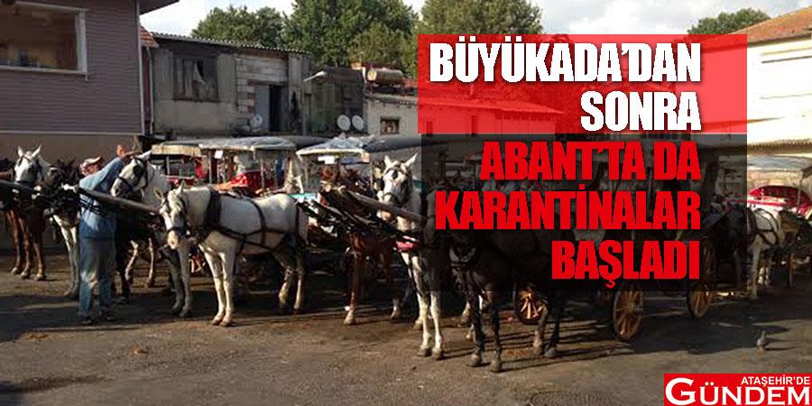 At vebası Büyükada'nın ardından Abant'a da yayıldı AT-VEBASI-SALGINI