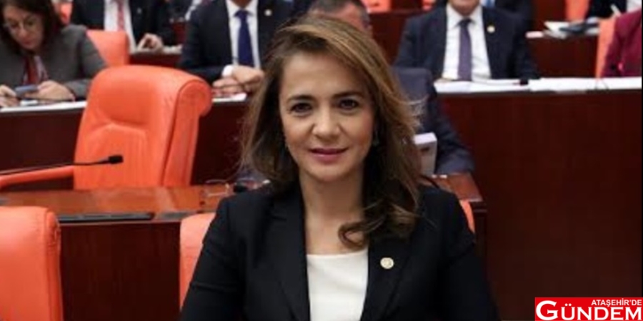 ARAZİ ELLERİNDEN ALINDI İLGEZDİ SORUNU MECLİSE TAŞIDI Gamze-Akkus-İlgezdi