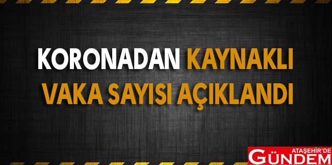 ZATÜRRE ORANI YÜZDE 8,3 KORONA-VAKA-SAYISI