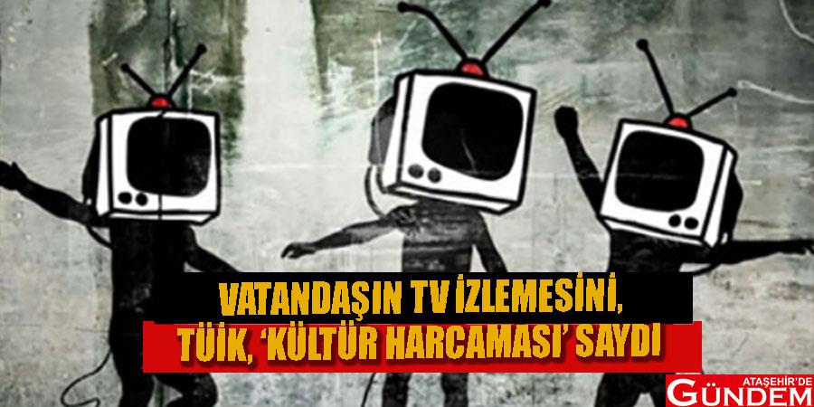 TÜİK "KÜLTÜR HARCAMASI ARTTI" DERKEN HANE HALKI TV İZLEDİ KULTURRR