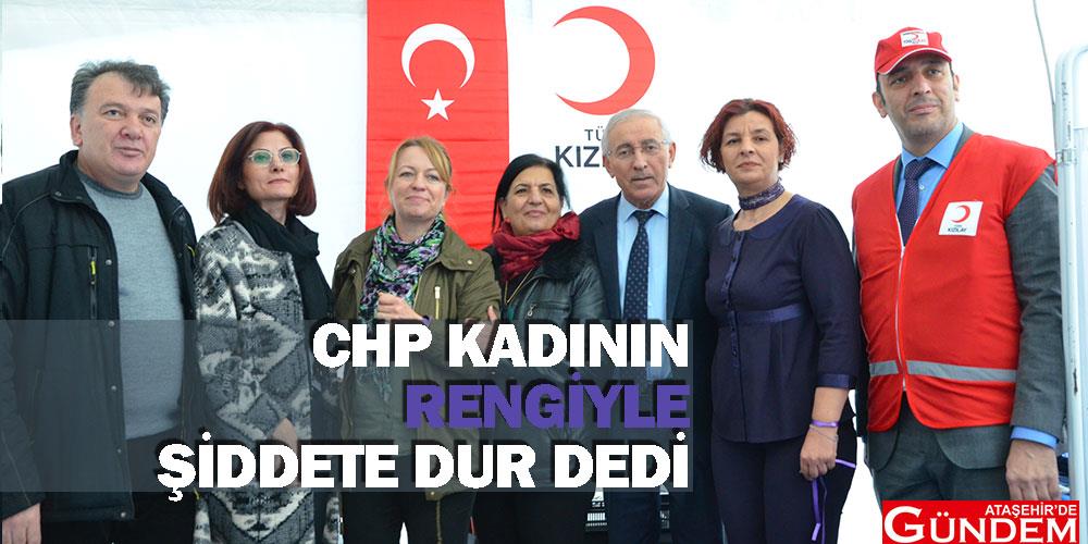 CHP Kadının Rengiyle Şiddete Dur Dedi QQQ