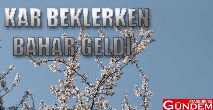 YAZ GİBİ HAFTA SONU GELİYOR agaclar-subat-ayinda-cicek-acti-b-700x420