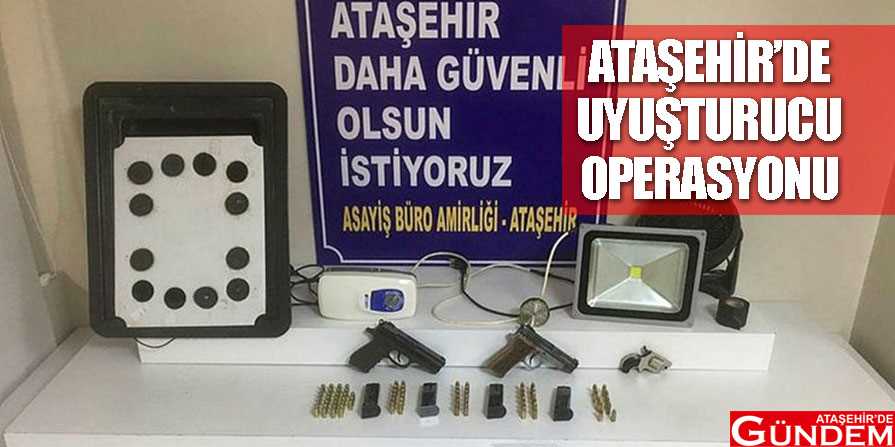 ATAŞEHİR'DE SAKSIDA KENEVİR YETİŞTİRDİ atasehirde-uyusturucu-operasyonu