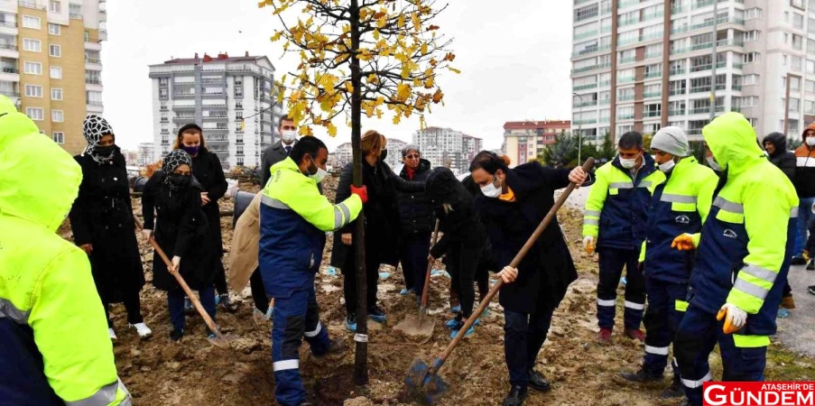 ABB'DEN BAŞAK CENGİZ İÇİN HATIRA ORMANI başak