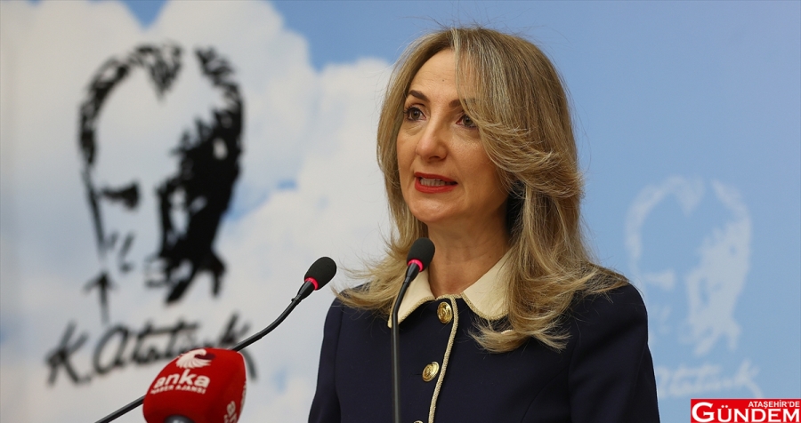 KADIN CİNAYETLERİNE CHP’DEN BASIN AÇIKLAMASI chp-kadin-kollari-genel-baskani-aylin-nazliaka_3930a7b