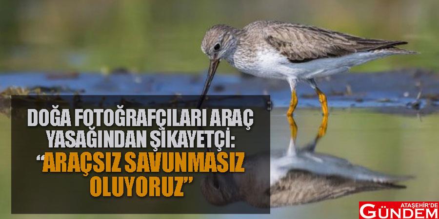 Doğa fotoğrafçıları manda sahipleriyle eşit haklar istiyor osdpfjoşdfıjhsd