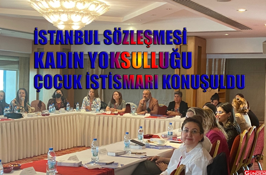 TÜRKİYE KADIN DERNEKLERİ FEDERASYONU KADINA ŞİDDETE İLİŞKİN ÇALIŞTAY DÜZENLEDİ uklkılgılgıl