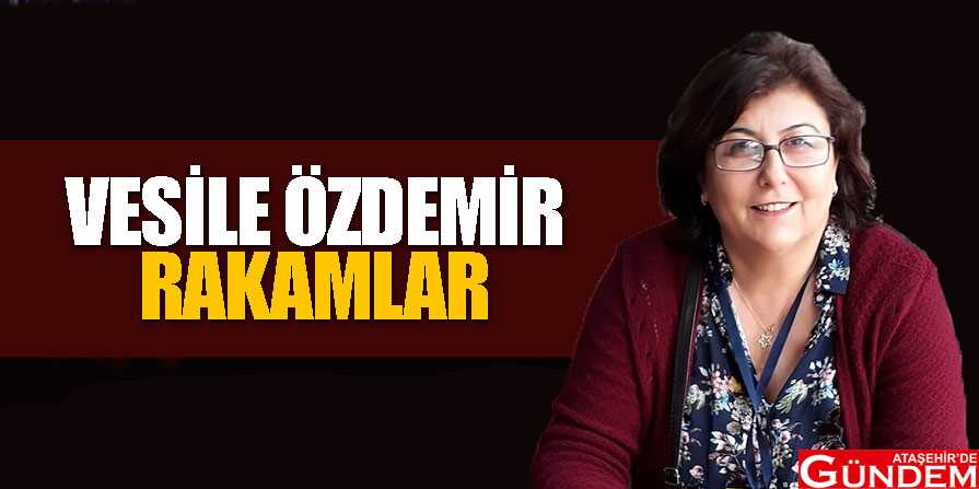 RAKAMLAR vesile-özdemir1