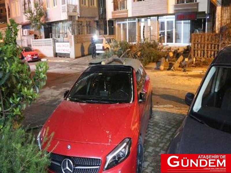 Ataşehir'de Korkunç Kaza ataşehirde ağaç arabanın üstne devrildi